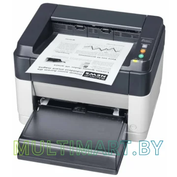 Принтер Kyocera Mita FS-1040 картинка 2